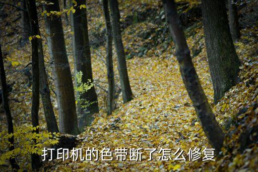 打印机把色带打断了怎么办，打印机色带断了怎么补救
