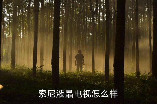 索尼液晶电视怎么样