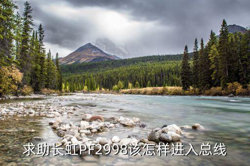 求助长虹PF2998该怎样进入总线