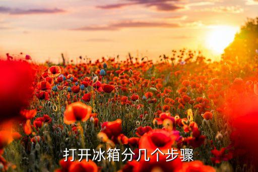 打开冰箱分几个步骤