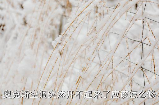 奥克斯空调突然开不起来了应该怎么修
