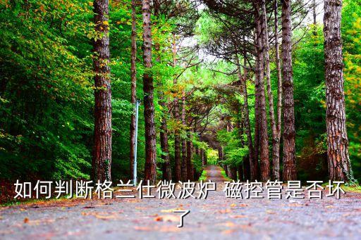 微波炉二极管是否会了如何看，微波炉磁控管损坏与否的判断