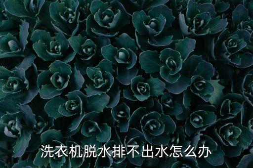 洗衣机脱水排不出水怎么办