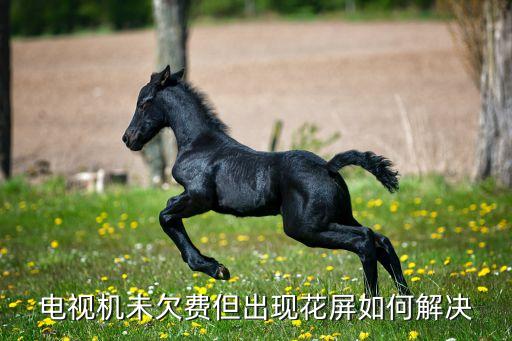 电视机未欠费但出现花屏如何解决