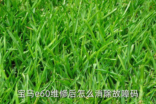 修宝马如何使用，xp车辆编程如何修复宝马脚步