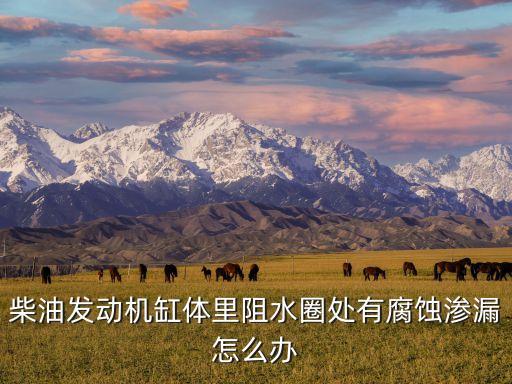 发动机注水圈漏怎么办，发动机注水圈漏水怎么办有没有什么解决的方法