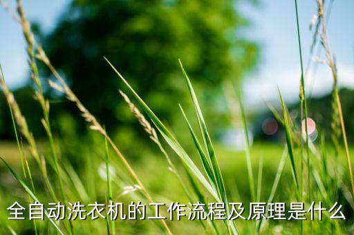 全自动洗衣机的工作流程及原理是什么