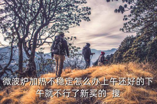微波炉断续加热怎么修，微波炉加热不稳定怎么办上午还好的下午就不行了新买的  搜