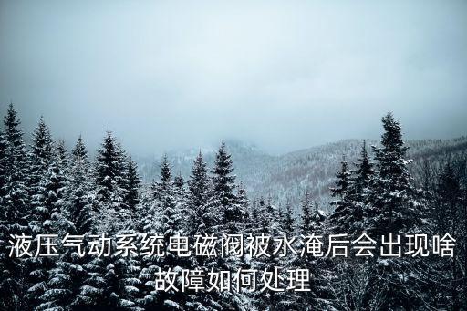 液压气动系统电磁阀被水淹后会出现啥故障如何处理