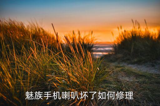 魅族手机喇叭坏了如何修理