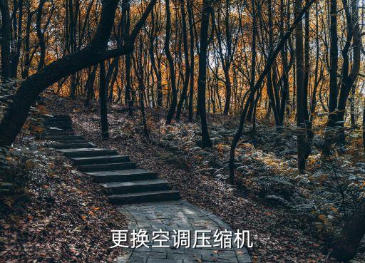更换空调压缩机
