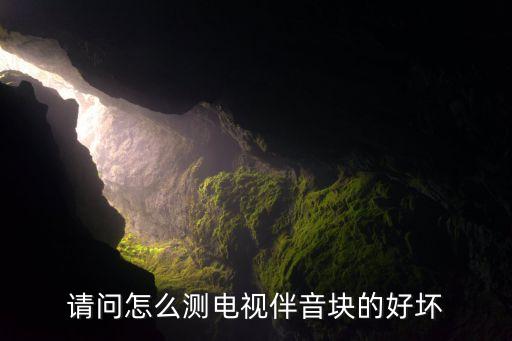 请问怎么测电视伴音块的好坏