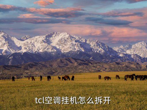 tcl空调怎么拆卸清洗，tcl空调挂机怎么拆开