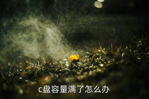计算机c盘满了怎么办，c盘容量满了怎么办