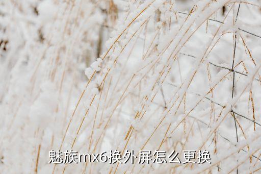 mx6怎么换外屏，魅族mx6换外屏怎么更换