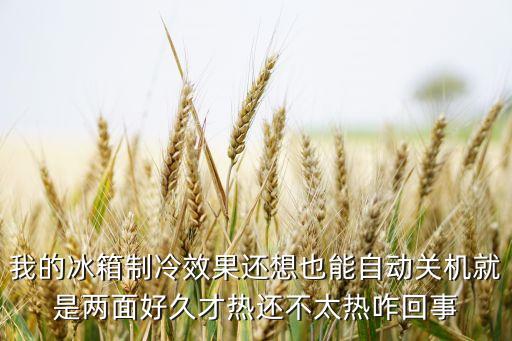 我的冰箱制冷效果还想也能自动关机就是两面好久才热还不太热咋回事