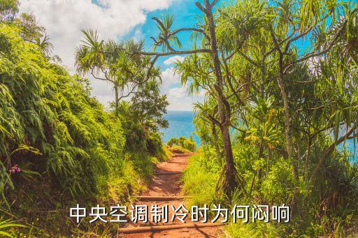 中央空调制冷时为何闷响