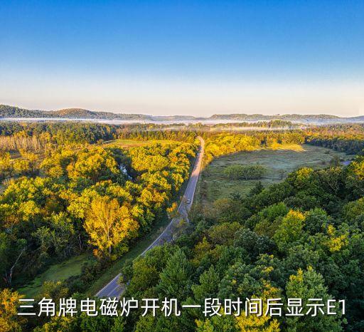 三角牌电磁炉开机一段时间后显示E1