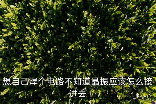 想自己焊个电路不知道晶振应该怎么接进去