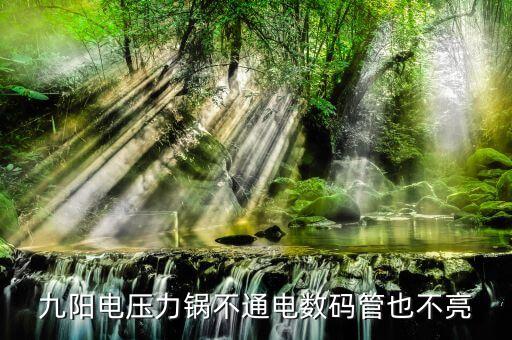 九阳电压力锅不通电数码管也不亮