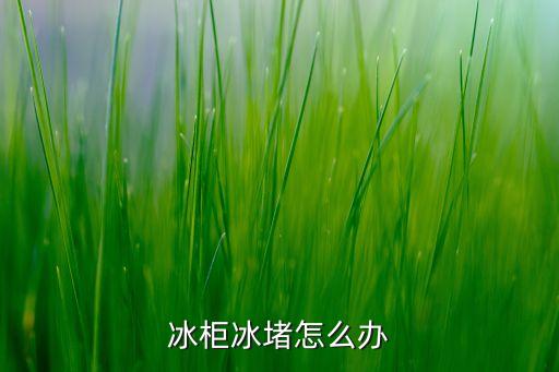 冰柜冰堵怎么办