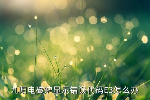 九阳电磁炉显示错误代码E3怎么办