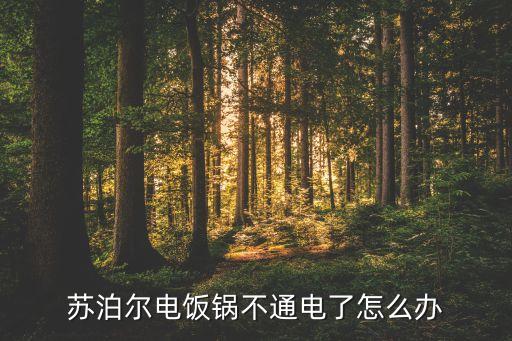 苏泊尔电饭锅不通电了怎么办