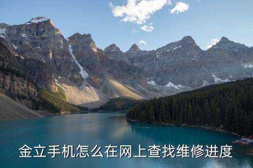 金立手机怎么在网上查找维修进度