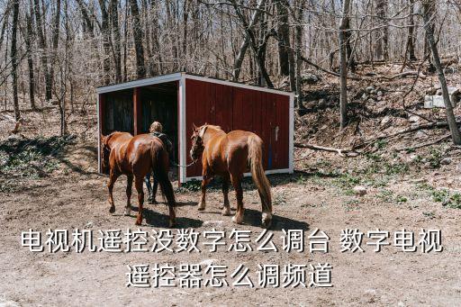 电视机遥控没数字怎么调台 数字电视遥控器怎么调频道
