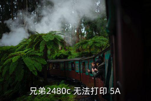 兄弟2480c 无法打印 5A