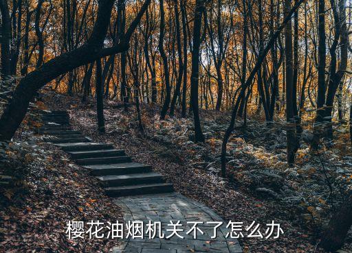 婴花电脑板油烟机关不掉怎么办，樱花油烟机关不了怎么办