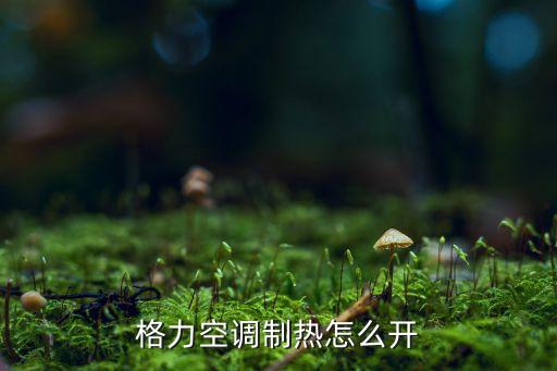 格力空调控制器怎么设置制热，格力空调怎样制热