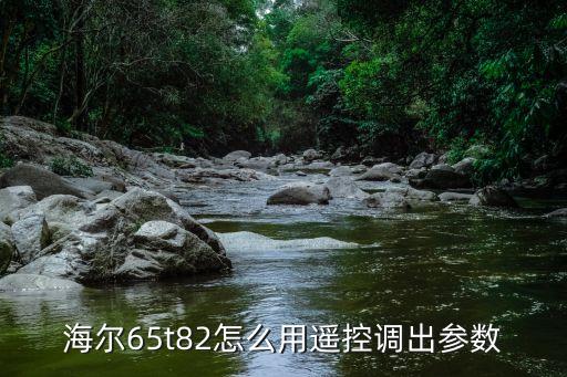 海尔65t82怎么用遥控调出参数
