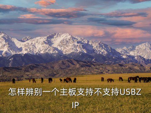 怎样辨别一个主板支持不支持USBZIP