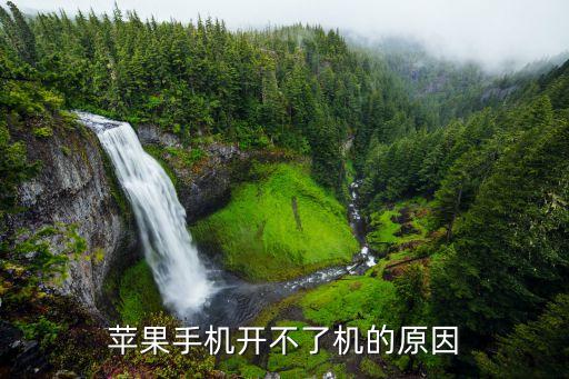 苹果手机开不了机的原因