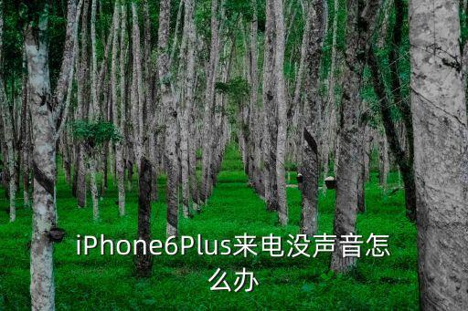 iPhone6Plus来电没声音怎么办
