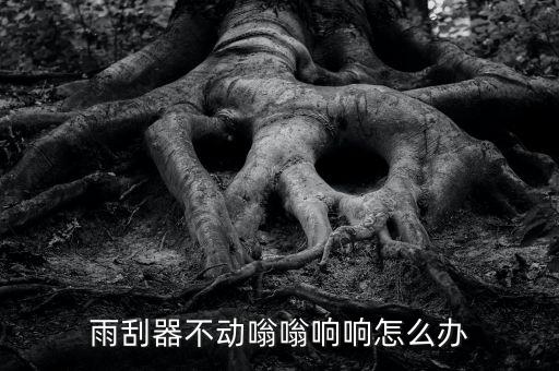 怎么解决汽车雨刮器响，汽车雨刮器声音很响如何解决