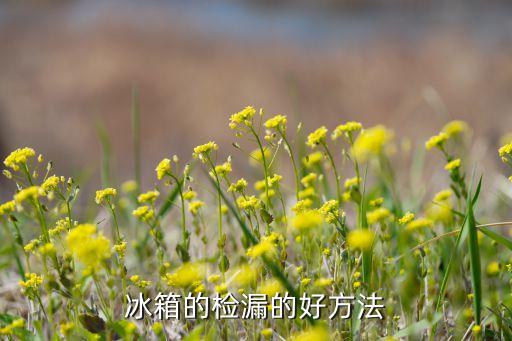 冰箱的检漏的好方法
