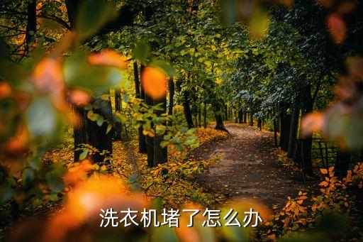 怎么修洗衣机，全自动洗衣机坏了怎么修
