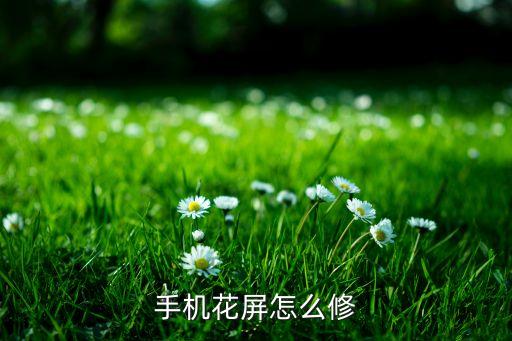 手机彩屏了怎么修复，手机彩屏了怎么弄