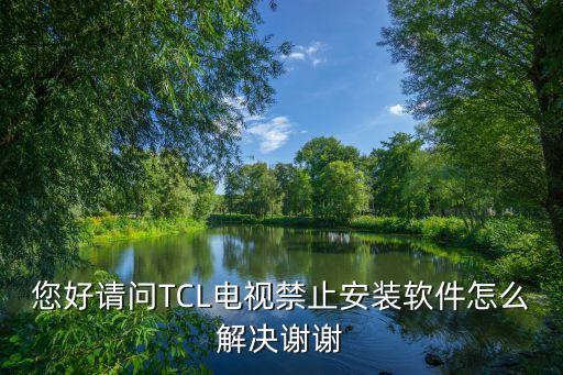 您好请问TCL电视禁止安装软件怎么解决谢谢
