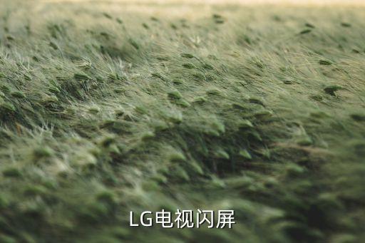 LG电视闪屏