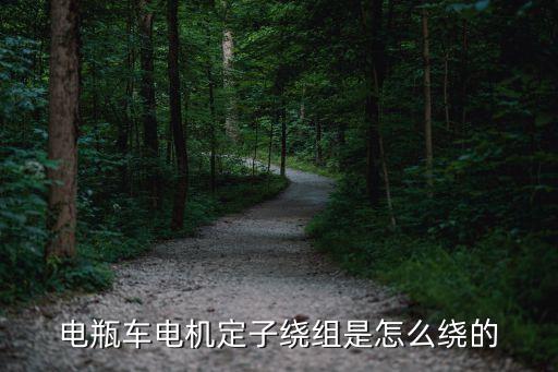 电动车电机线圈怎么绕，电瓶车电机定子绕组是怎么绕的