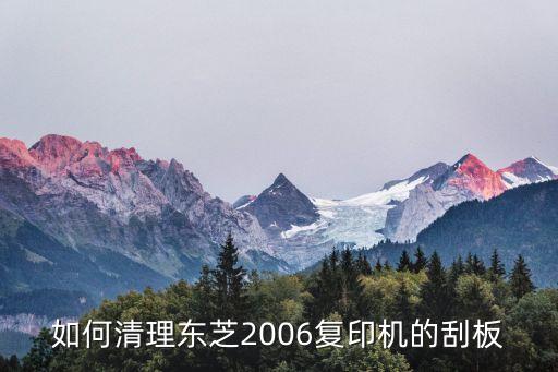 如何清理东芝2006复印机的刮板