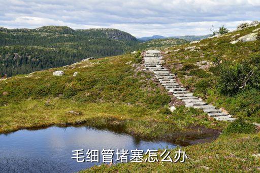 毛细管堵塞怎么办