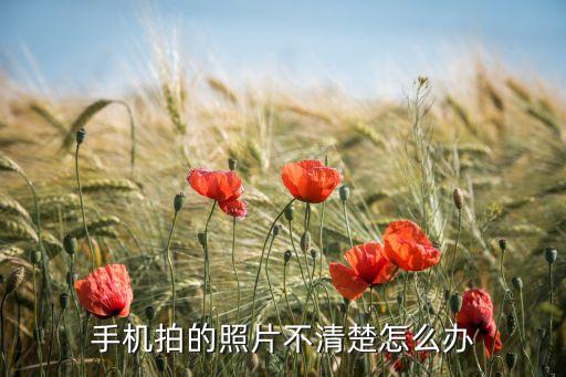 手机拍的照片不清楚怎么办