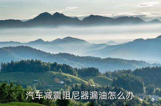 汽车减震阻尼器漏油怎么办