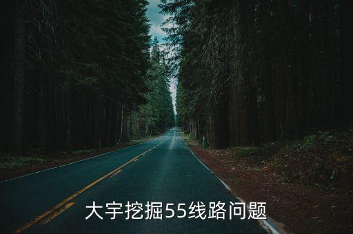 大宇挖掘55线路问题