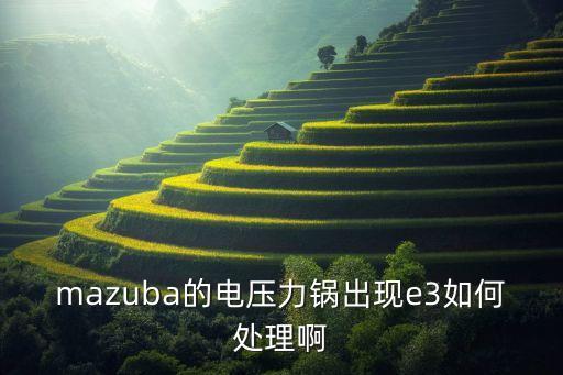 mazuba的电压力锅出现e3如何处理啊