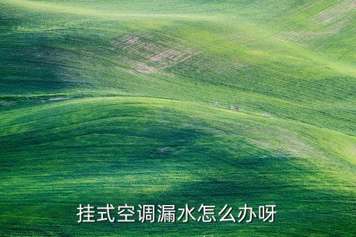挂式空调漏水怎么办呀